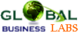Global Business Firms Lab
